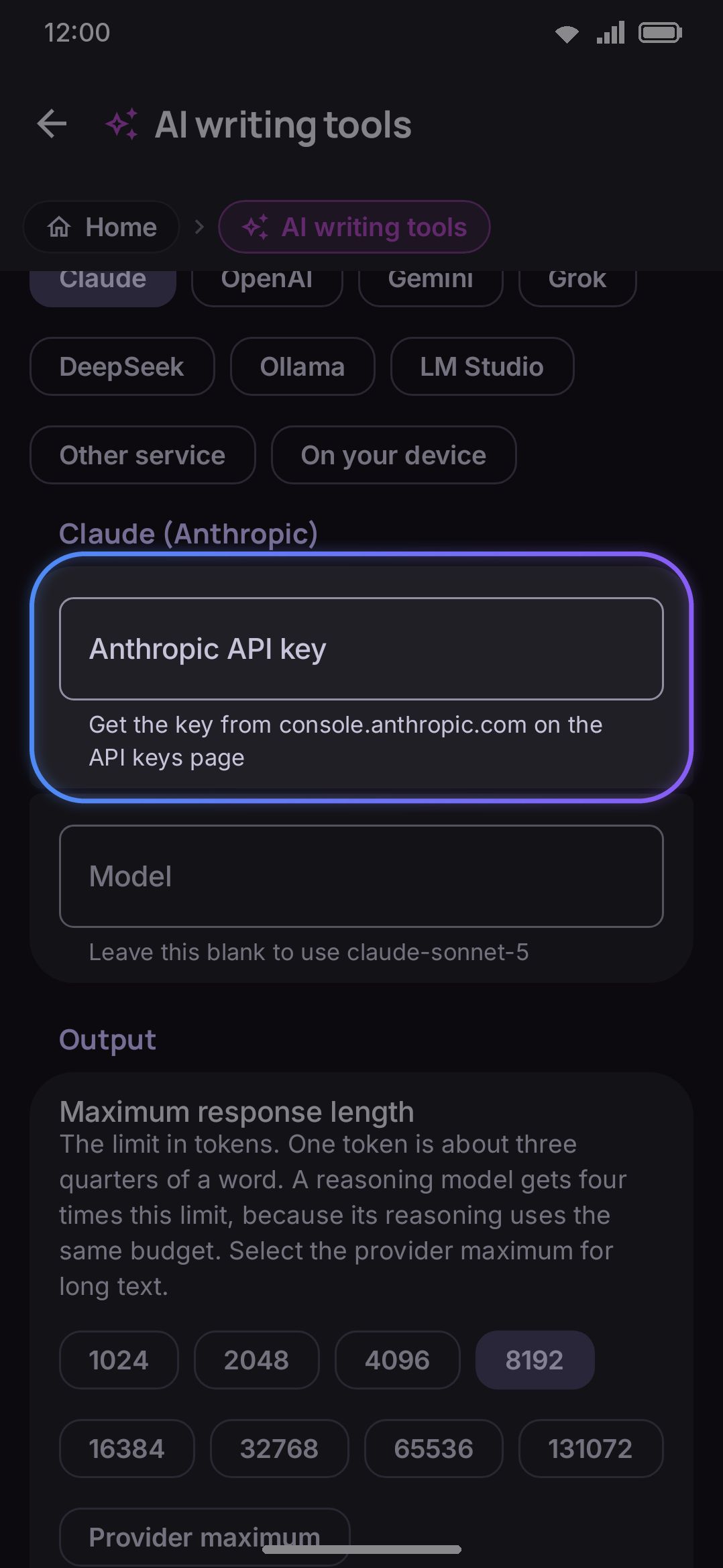 The provider row and a cloud provider's API key and model fields.