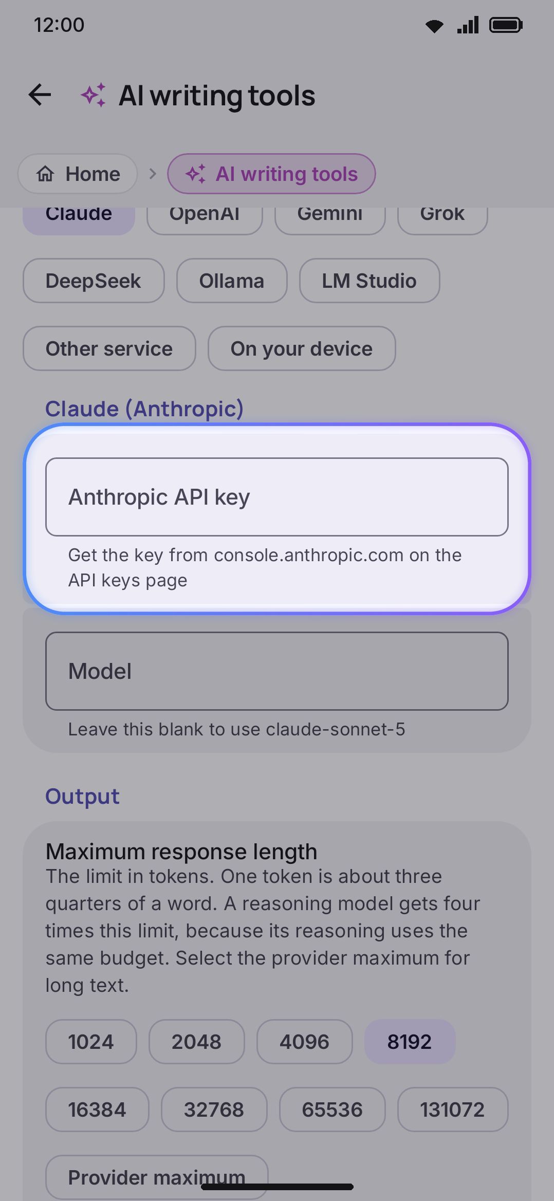 The provider row and a cloud provider's API key and model fields.