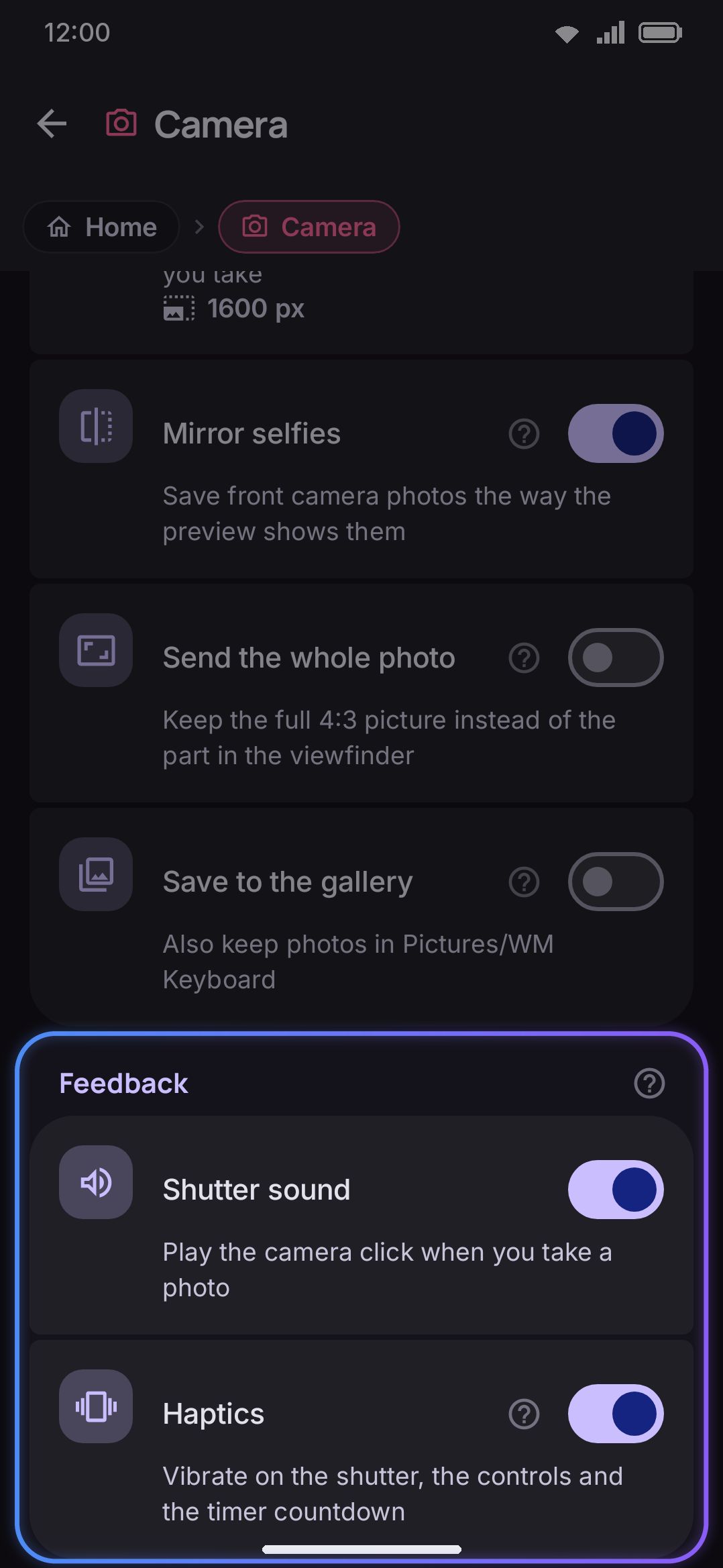 Camera's Options screen: selfie camera, mirroring, gallery saving, shutter sound and haptics.