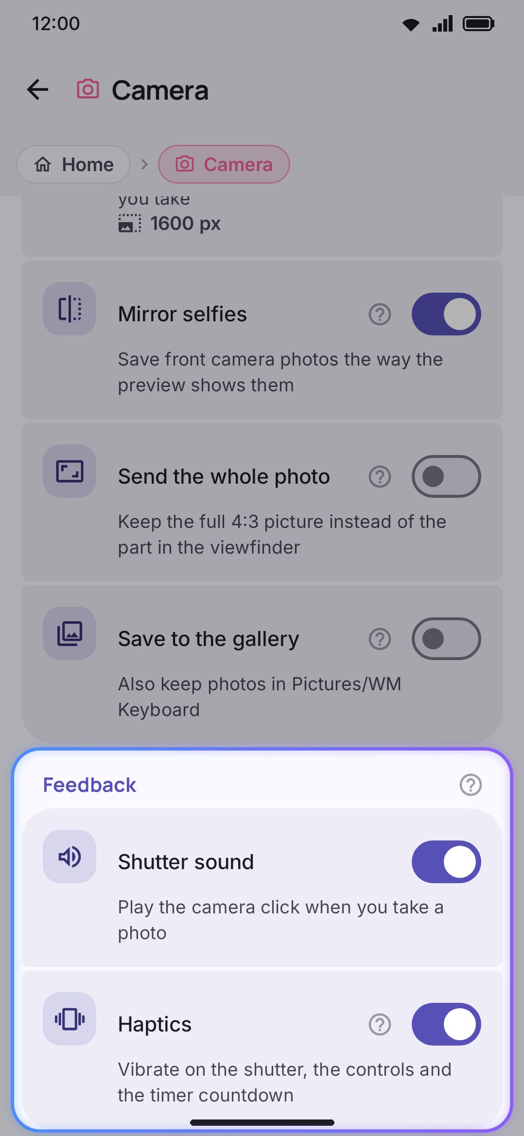Camera's Options screen: selfie camera, mirroring, gallery saving, shutter sound and haptics.