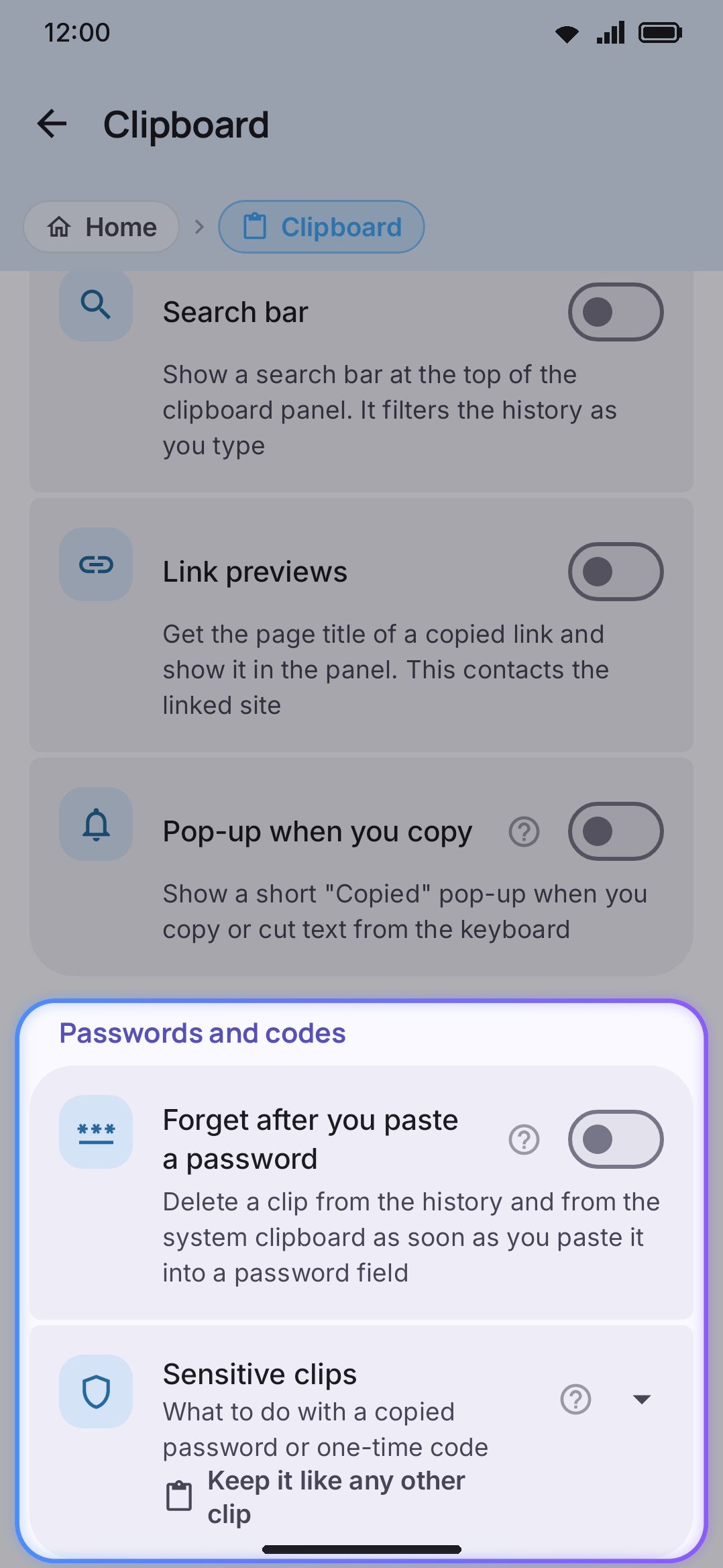 Passwords & codes: sensitive-clip handling and the paste-time purge, both on by default.