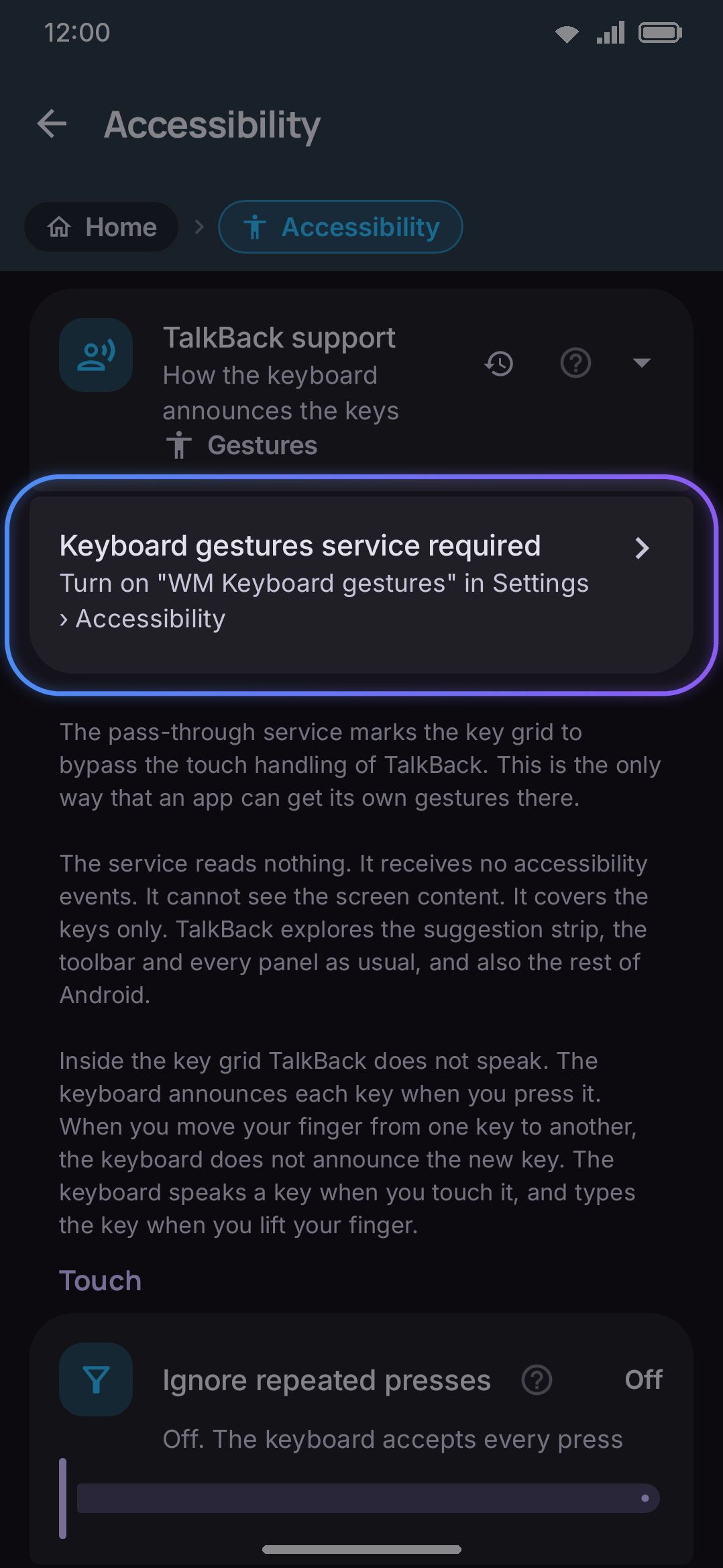 The extra row that appears when TalkBack support is set to Gestures, before the service is granted.