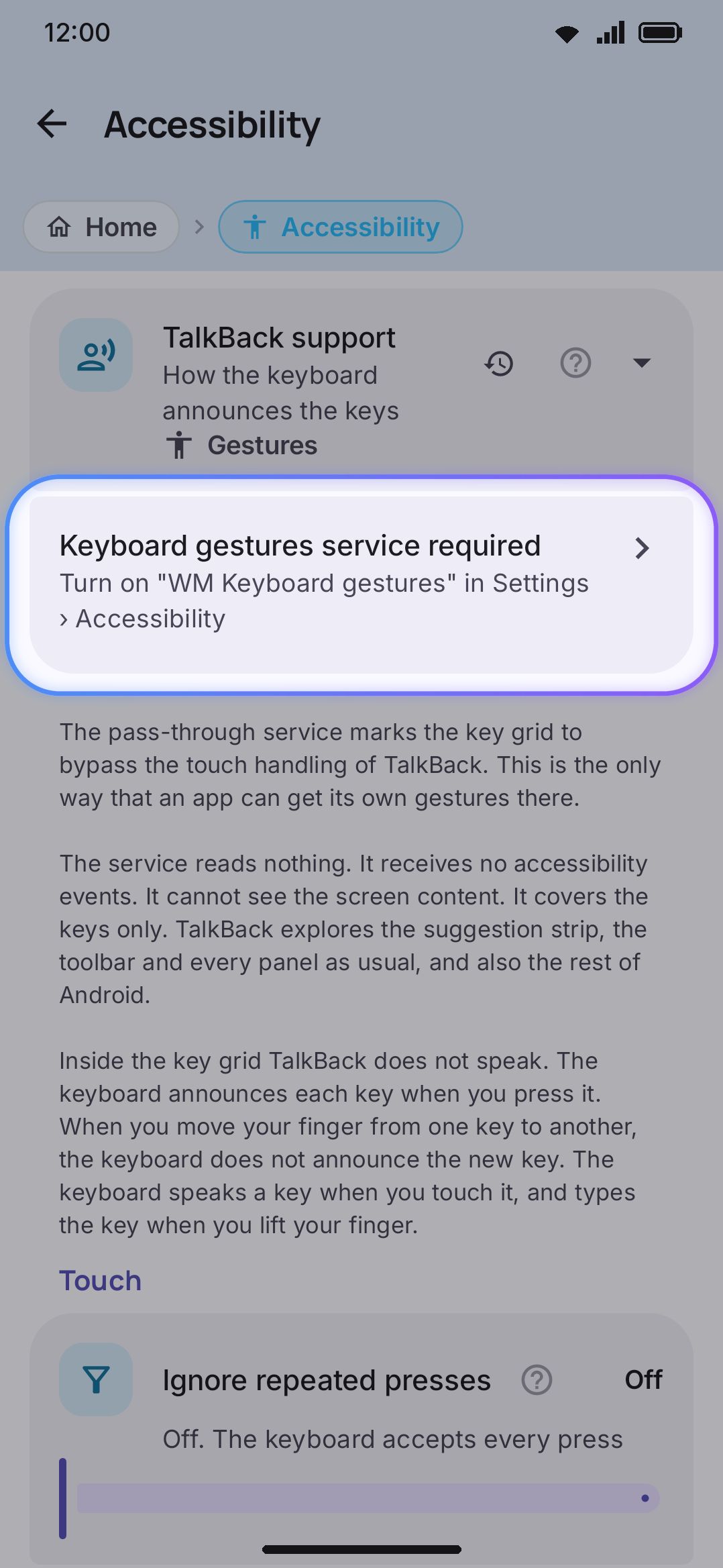 The extra row that appears when TalkBack support is set to Gestures, before the service is granted.