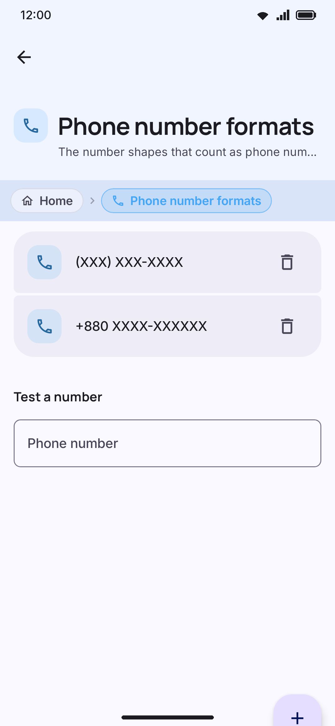 Phone number formats: the explanation, Add a format, the saved masks, and the Test a number field.