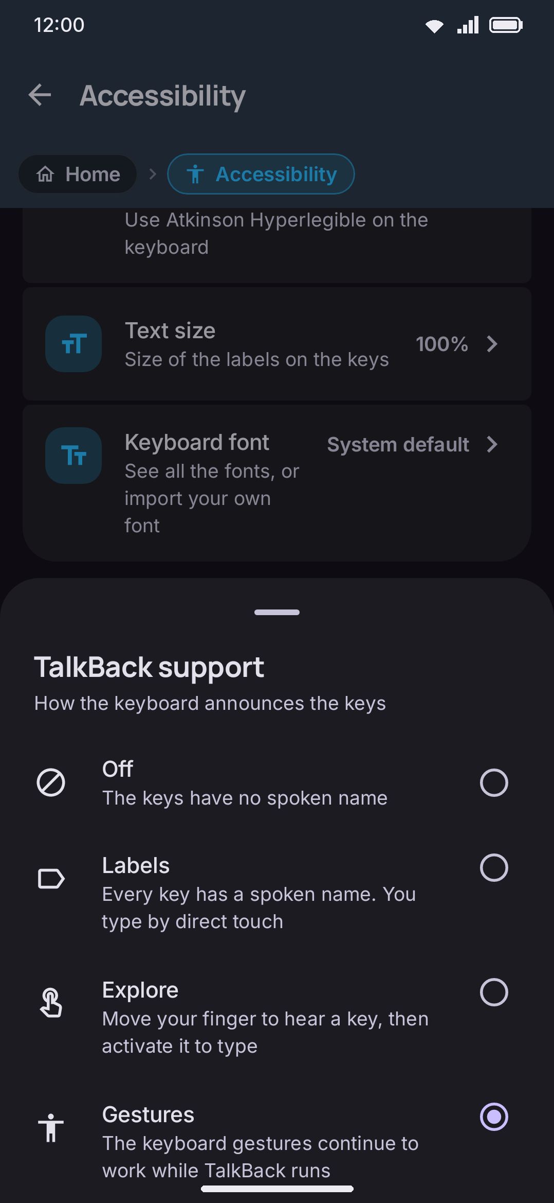 TalkBack support set to Gestures, with the four modes shown in the picker.