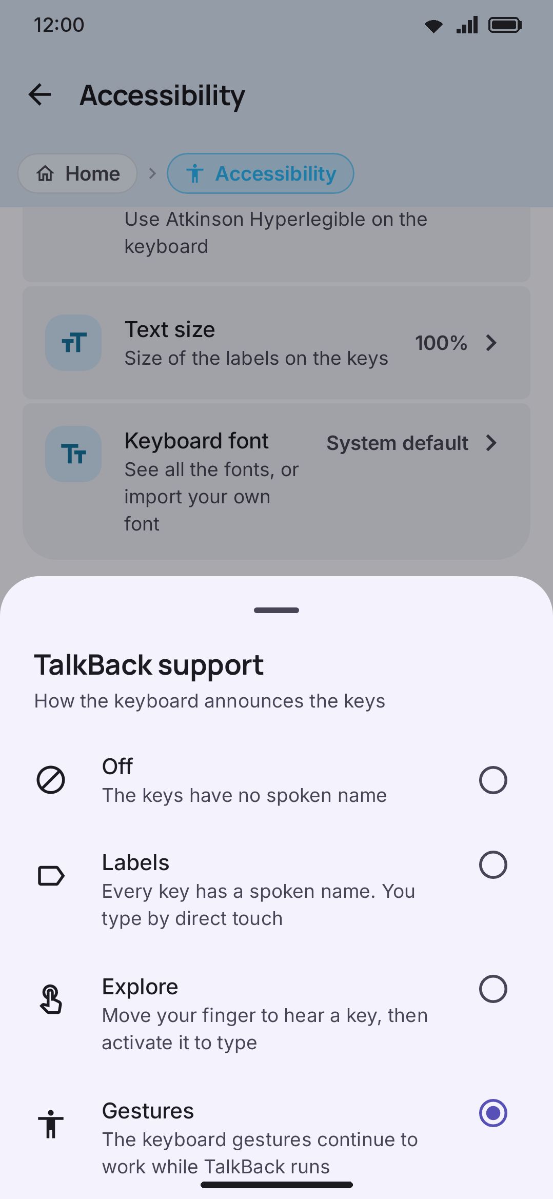 TalkBack support set to Gestures, with the four modes shown in the picker.