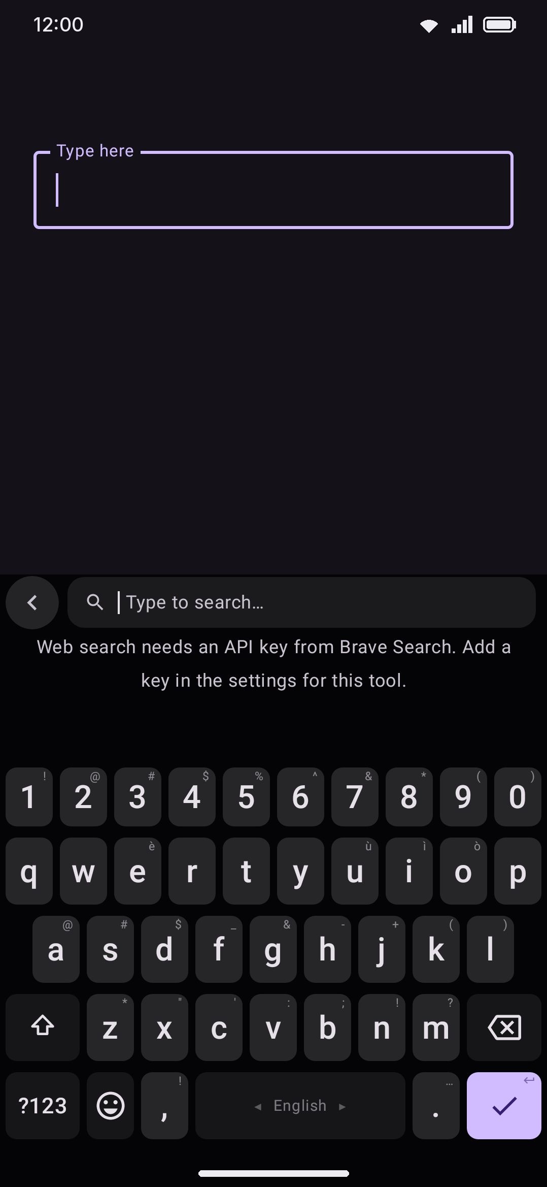 The web search panel before a Brave API key is configured.