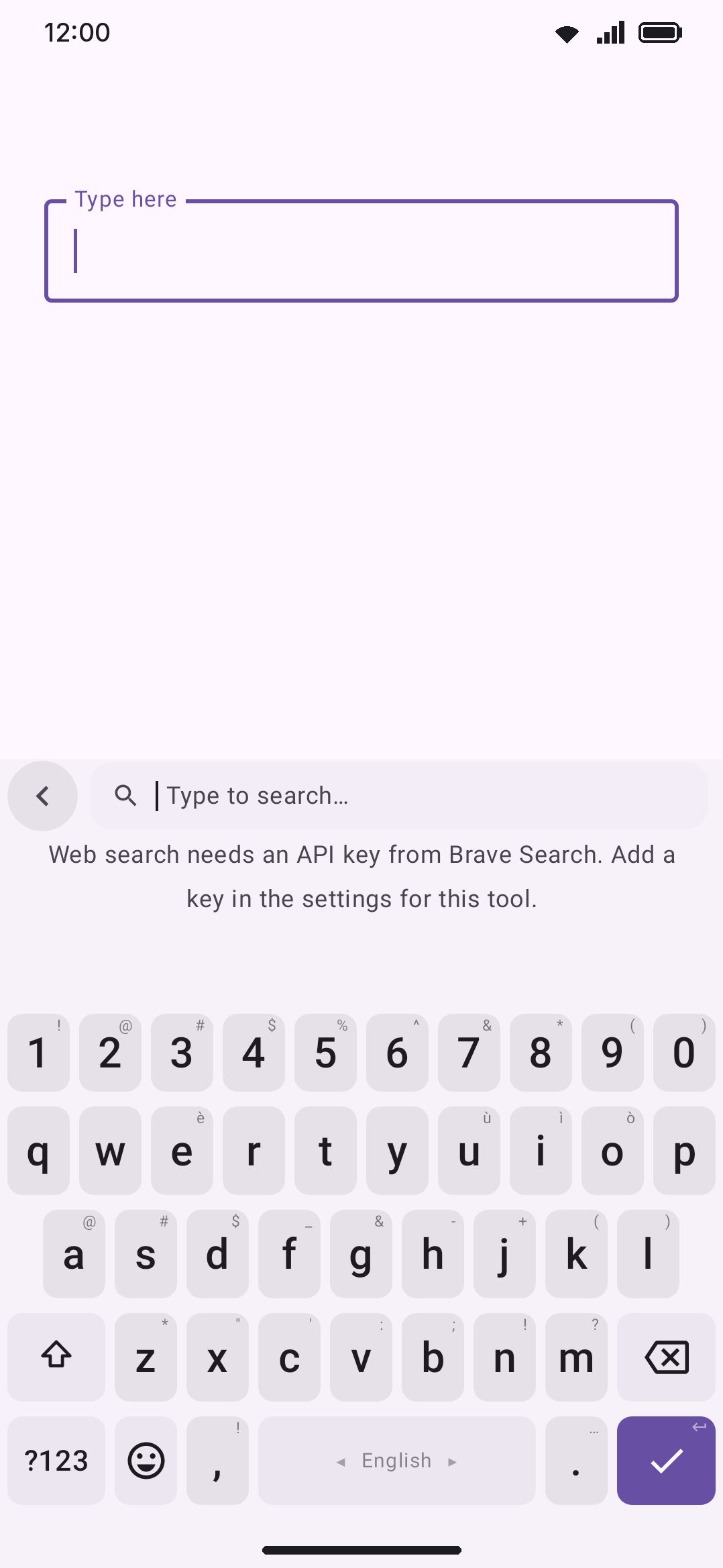 The web search panel before a Brave API key is configured.