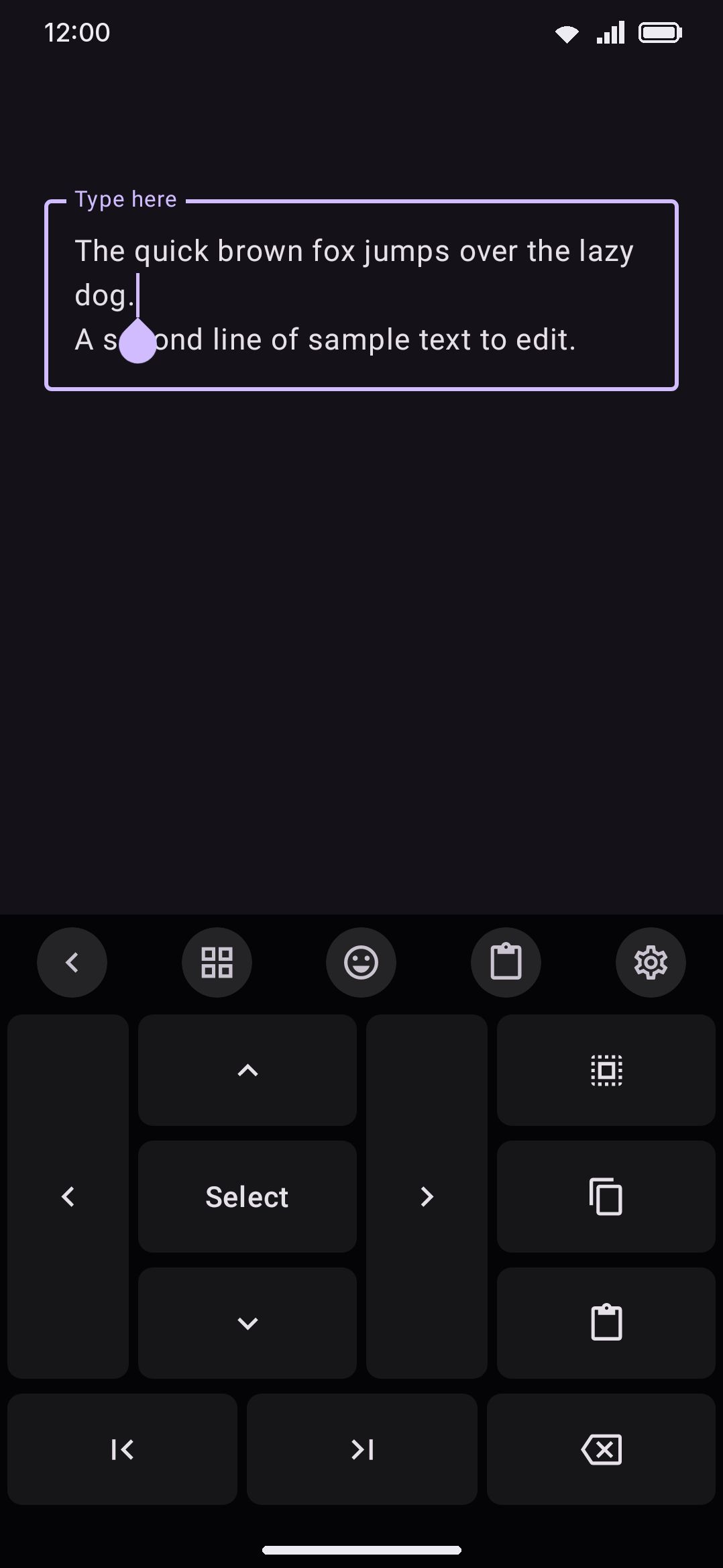 The text-editing panel: a d-pad for moving the cursor, Select/Select all/Copy/Paste on the right, and Home/End/Backspace along the bottom.