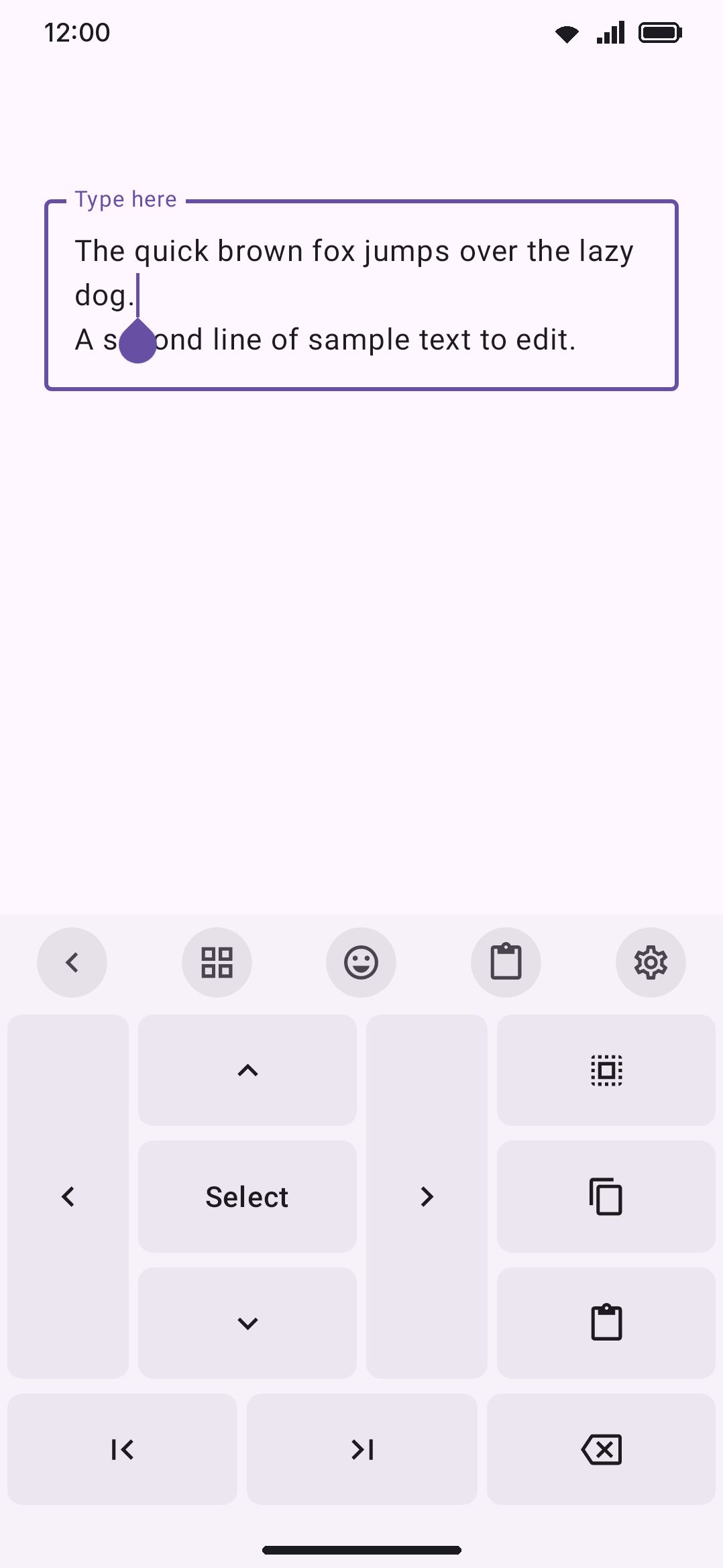 The text-editing panel: a d-pad for moving the cursor, Select/Select all/Copy/Paste on the right, and Home/End/Backspace along the bottom.