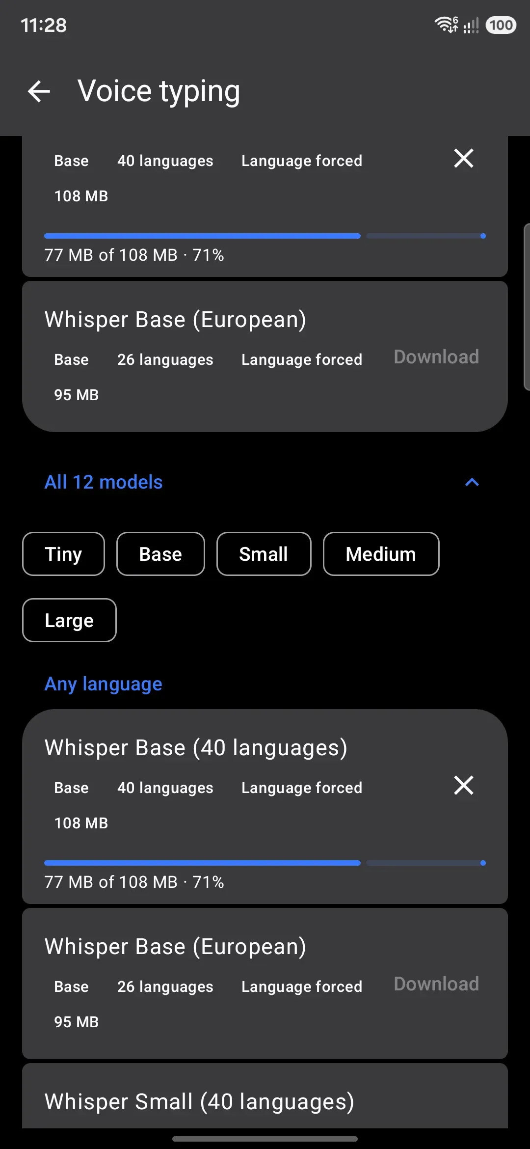 A model mid-download, with progress and the storage summary below the list.